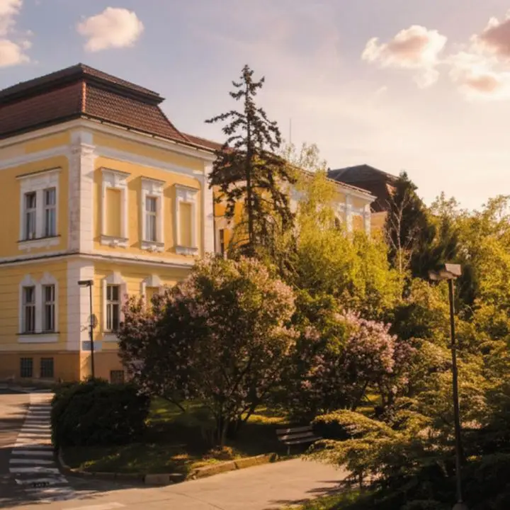 Konference psychoneuroonkologie