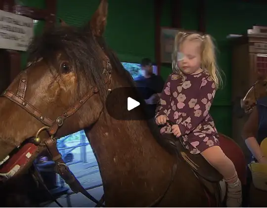 ČT 24 │ 8. 6. 2025